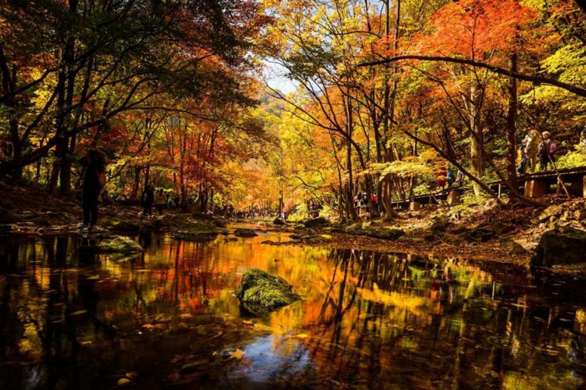 Guanmen Mountain Forest Park